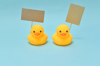 Oy kavramı, lastik ördek tabelalar tutuyorsun