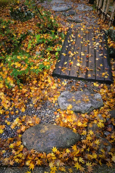 Folhas Bordo Caídas Passarela Torno Nara Park Japão — Fotografia de Stock