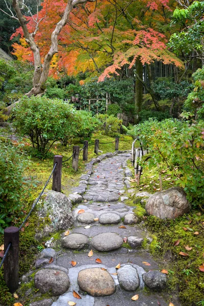 Feuilles Érable Tombées Sur Passerelle Autour Nara Park Japon — Photo