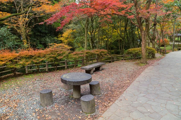 Stone Tabell Nära Manai Hösten Miyazaki Japan — Stockfoto