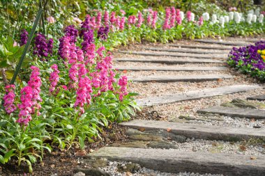 Ahşap yolu ile bahçe yolu