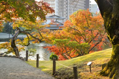 Kumamoto, Japonya, 20 Kasım 2018: Suizenji Bahçe Peyzaj gölet, Kumamoto, Japonya diğer taraftan görülür