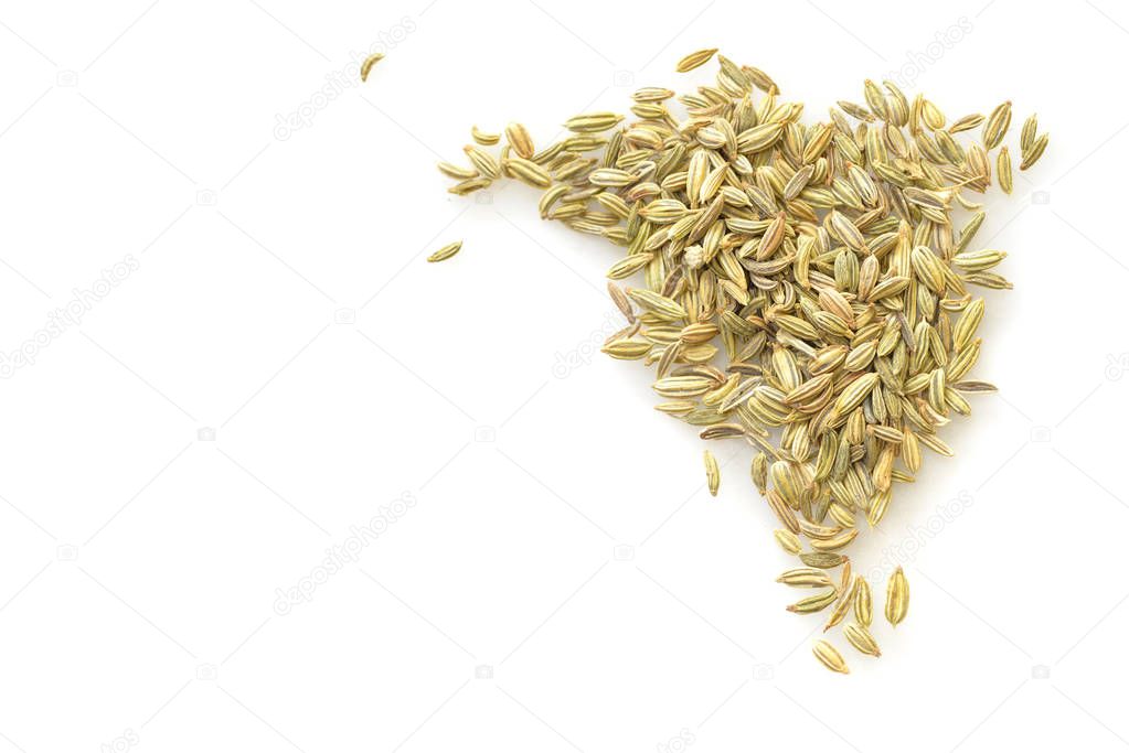 Fennel seed on white background from top view