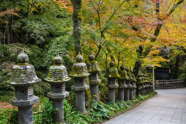 Fukuoka Japon Novembre 2018 Beau Sentier Descend Nanzoin Reclining Buddha — Photo