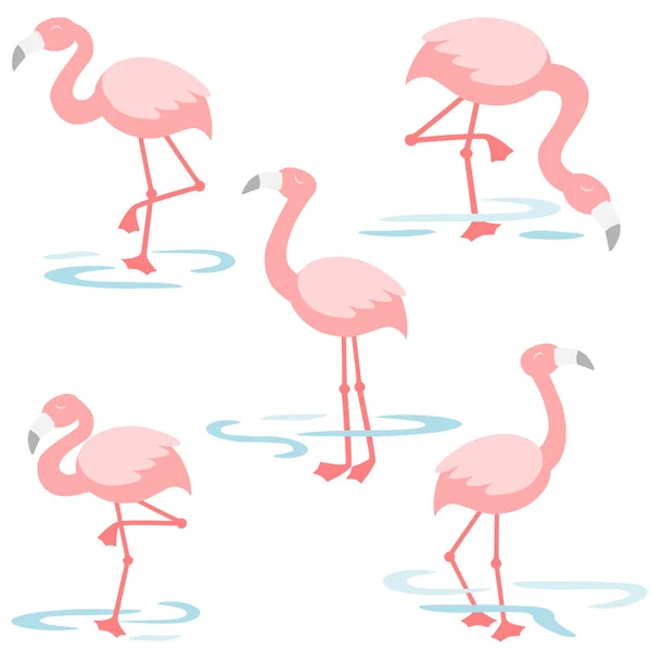 Flamingo Spaziert Teich — Stockvektor