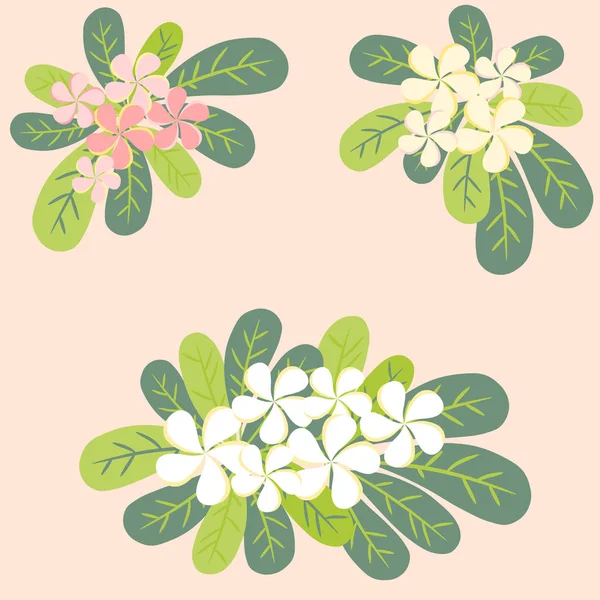 Tropische Blume (plumeria) Muster — Stockvektor