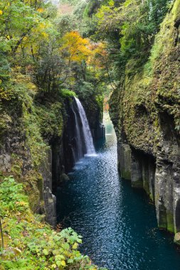 Manai sonbahar, Miyazaki, Japan