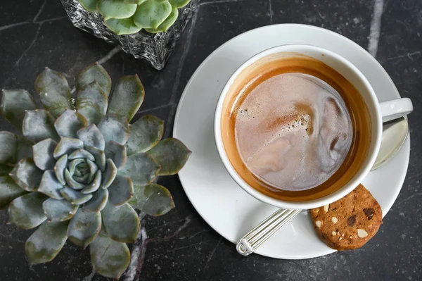 Tazza di caffè e pianta succulenta sul tavolo di marmo nero — Foto Stock