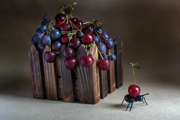 Kiraz ve üzüm mezarda bir karınca ile