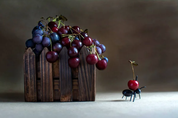 Kiraz ve üzüm mezarda bir karınca ile