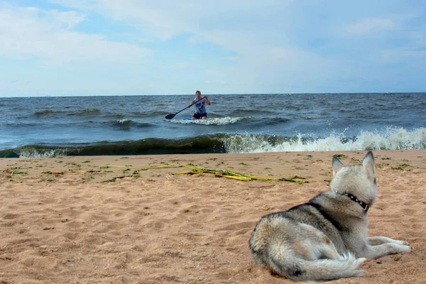 Sup Surfen Sandstränden — Stockfoto