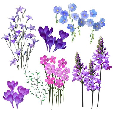 küçük bahar alan çiçek pastel renklerde desen