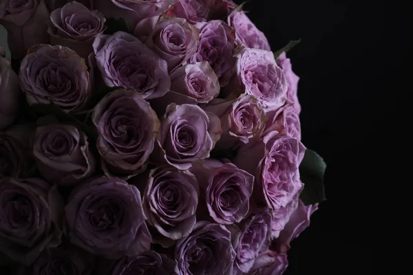 Buquê de rosas violetas. Fechar — Fotografia de Stock