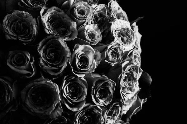 Bukiet róż fiolet w czerni i bieli — Zdjęcie stockowe