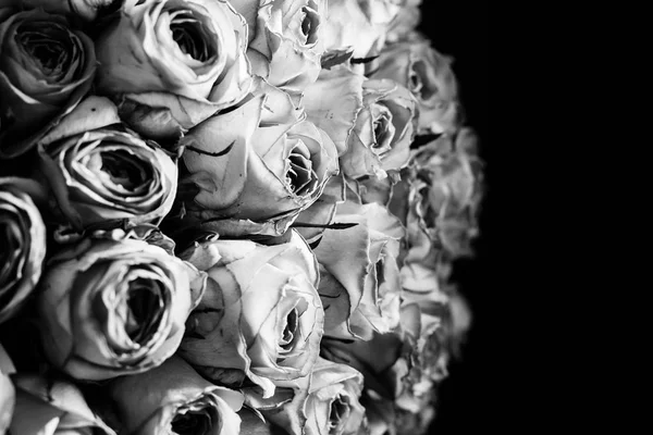 Gül karanlıkta. Siyah ve beyaz