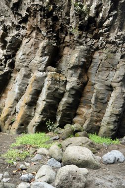 Moss kayaların altında büyür ve yalan taş