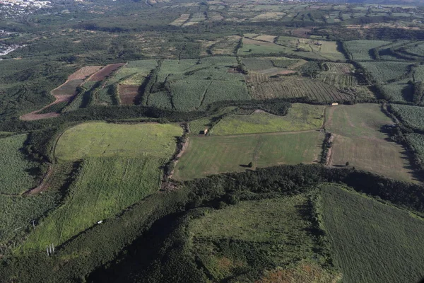 Vista superior de campos de varios tamaños y tonos de color verde — Foto de Stock