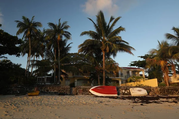 Casa cerca del mar con una valla de piedra y palmeras — Foto de Stock