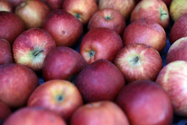 Na pultě jsou takové ovoce jako jablka — Stock fotografie