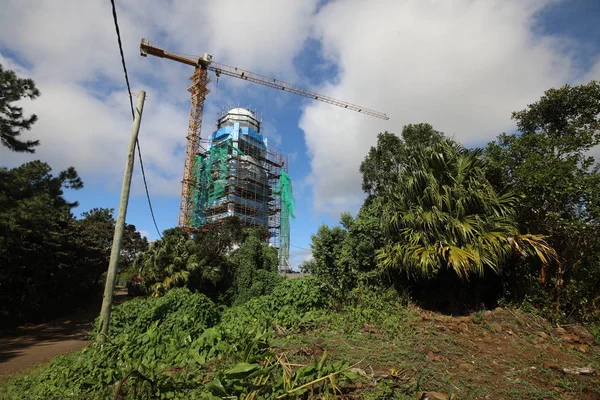 Orman ve yolun yakınında yüksek bir kule ve bir vinç inşaatı var