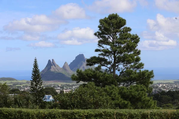 Bir şehir ve dağ ve gökyüzü bir yüksek ağaçları göster