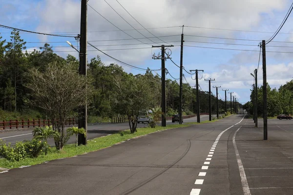 Estrada com asfalto é dividido por plantas . — Fotografia de Stock