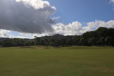 Ağaçlar gökyüzü bulutlu çim