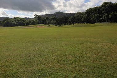 Ağaçlar gökyüzü bulutlu çim