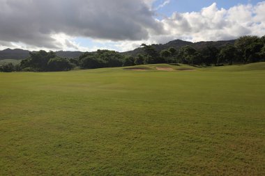 Ağaçlar gökyüzü bulutlu çim