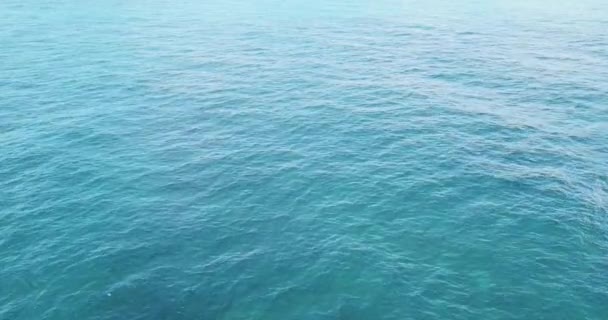 Survoler l'océan Indien sur la côte swahili, Tanzanie .