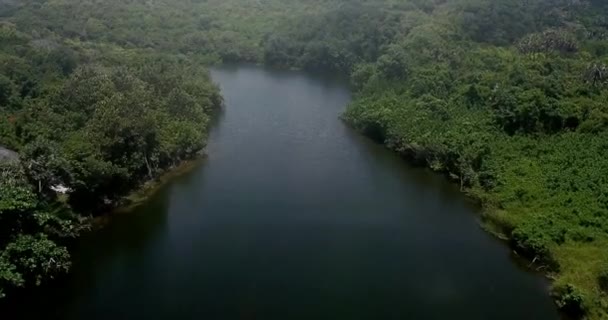 Πετώντας Πάνω Από Μια Λιμνοθάλασσα Γλυκού Νερού Ένα Δάσος Κοντά — Αρχείο Βίντεο