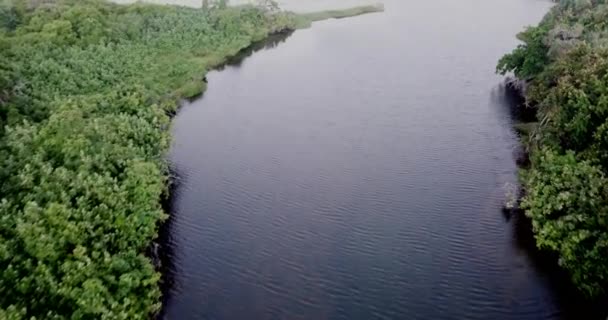 Survolant une lagune d'eau douce dans une forêt près de la côte, en Tanzanie .
