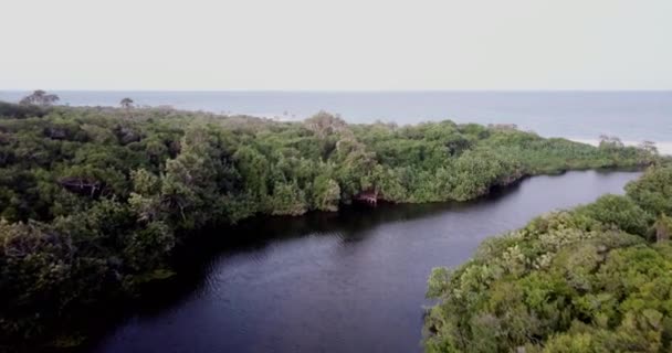 Voler d'une lagune à l'océan Indien, Tanzanie .