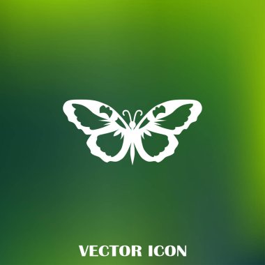 Kelebek vektör web simgesi