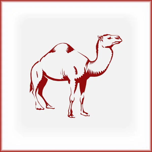 Kamel Ikonen Öknen Djur — Stock vektor