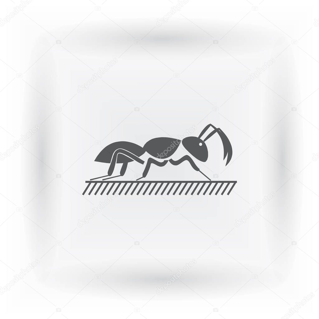 ant icon. insect sign