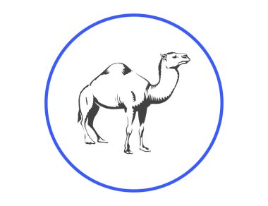 deve simgesi. çöl hayvan