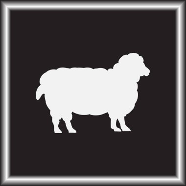 Renk koyun yün tüm büyüme ile. Cloven-hoofed çiftlik hayvan beyaz koyun, kavram gıda kroki çizimi