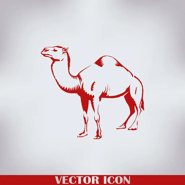 Illustration Vectorielle Silhouette Icône Chameau — Image vectorielle