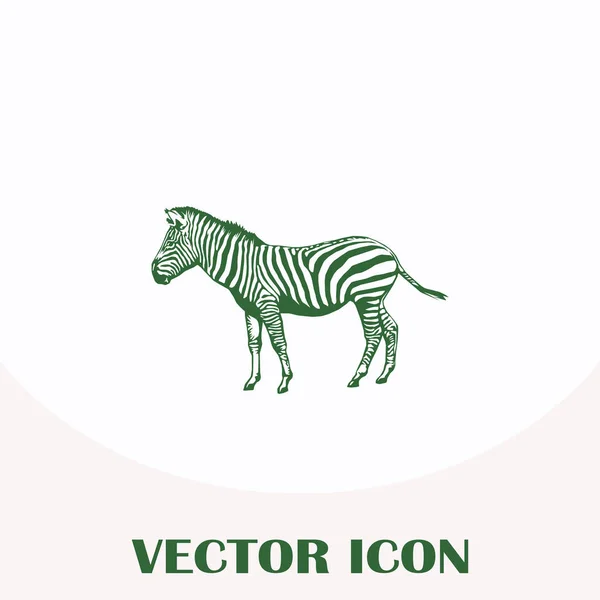 Zebra-Vektor-Websymbol — Stockvektor