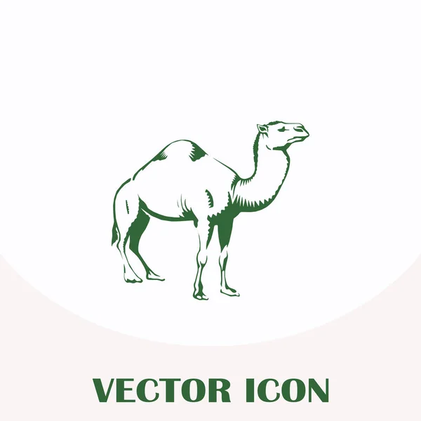 camel icon. desert animal