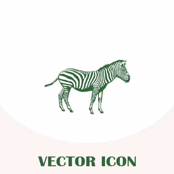 Zebra-Vektor-Websymbol — Stockvektor