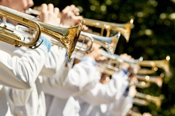 Classic Brass band plays the musical in garden. Musical instrument, brass band and celebration concept