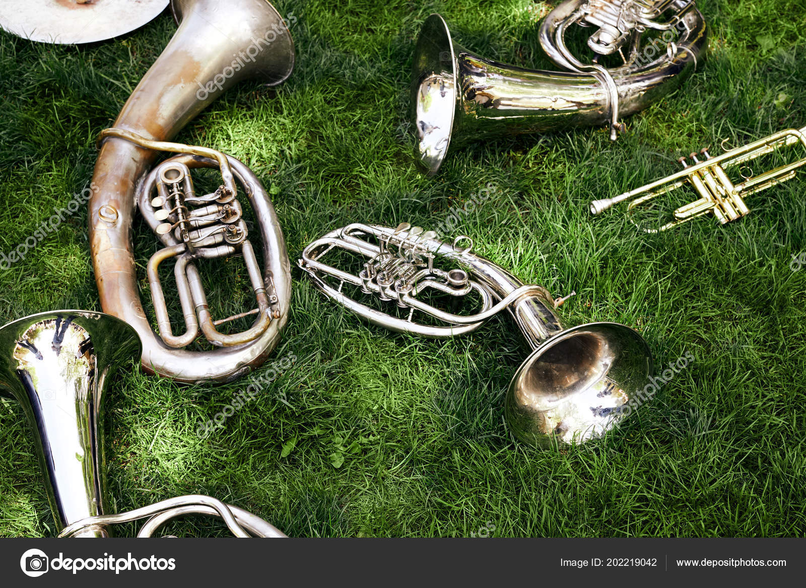 Several Ancient Musical Wind Instruments Lie Green Grass Park