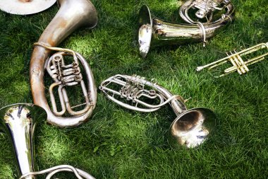 Several ancient musical wind instruments lie on the green grass in the park. Cornet, tenor, baritone, tuba. clipart