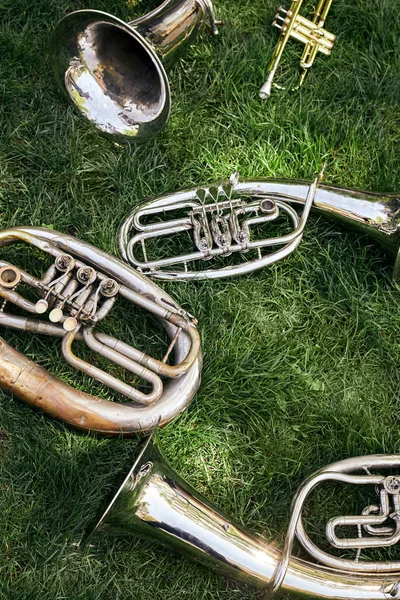 Several ancient musical wind instruments lie on the green grass in the park. Cornet, tenor, baritone, tuba.