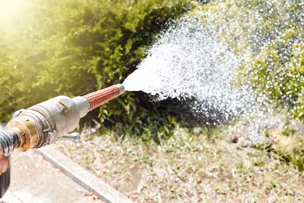 A scene of watering the lawn from a fire hose in the garden on a summer sunny day.