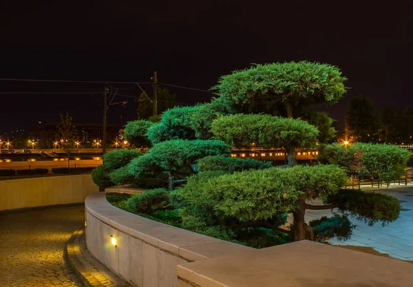 Işıklı akşam park için rahatlatıcı ve bonsai ağaçları ile yürüme