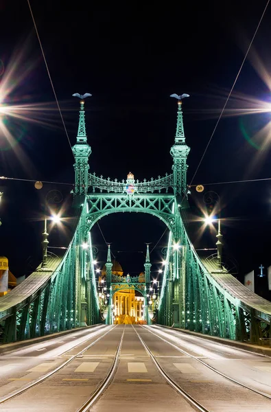Illalla Valaistu Vapaussilta Budapest Unkari — kuvapankkivalokuva