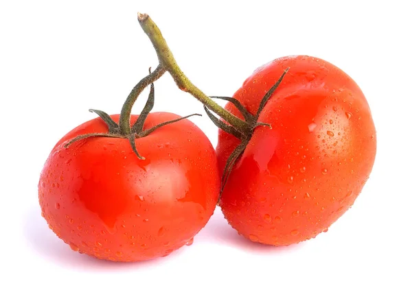 Zwei rote Tomaten auf einem Zweig — Stockfoto